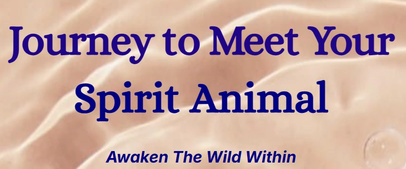 Dreamer’s Vortex Review