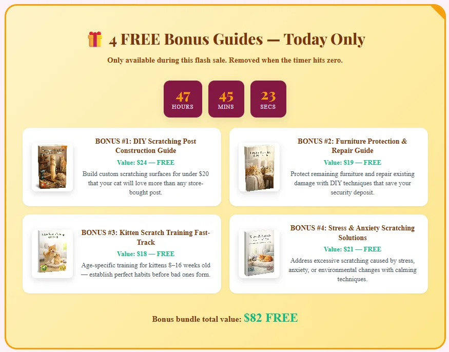 Gift ideas for cat owners