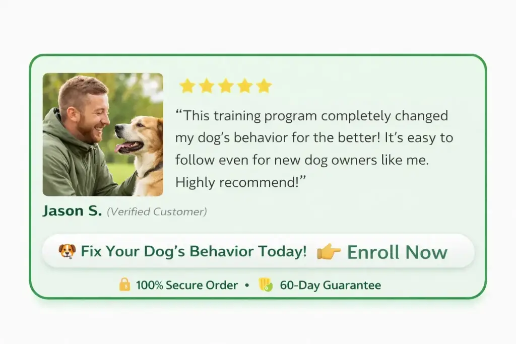 What to do puppy training tips