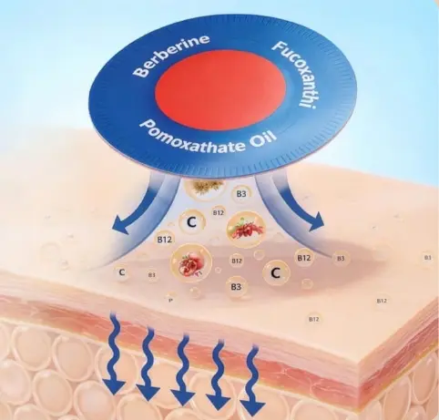 best weight loss pills