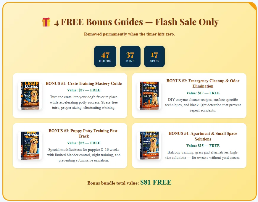 how to potty train an older dog