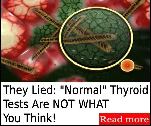 Thyrafemme Balance Reviews – Best Thyroid Support Guide