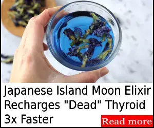 thyroid support supplement